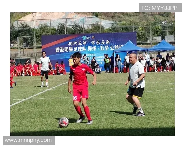 英雄联盟版本更新对中单生态影响